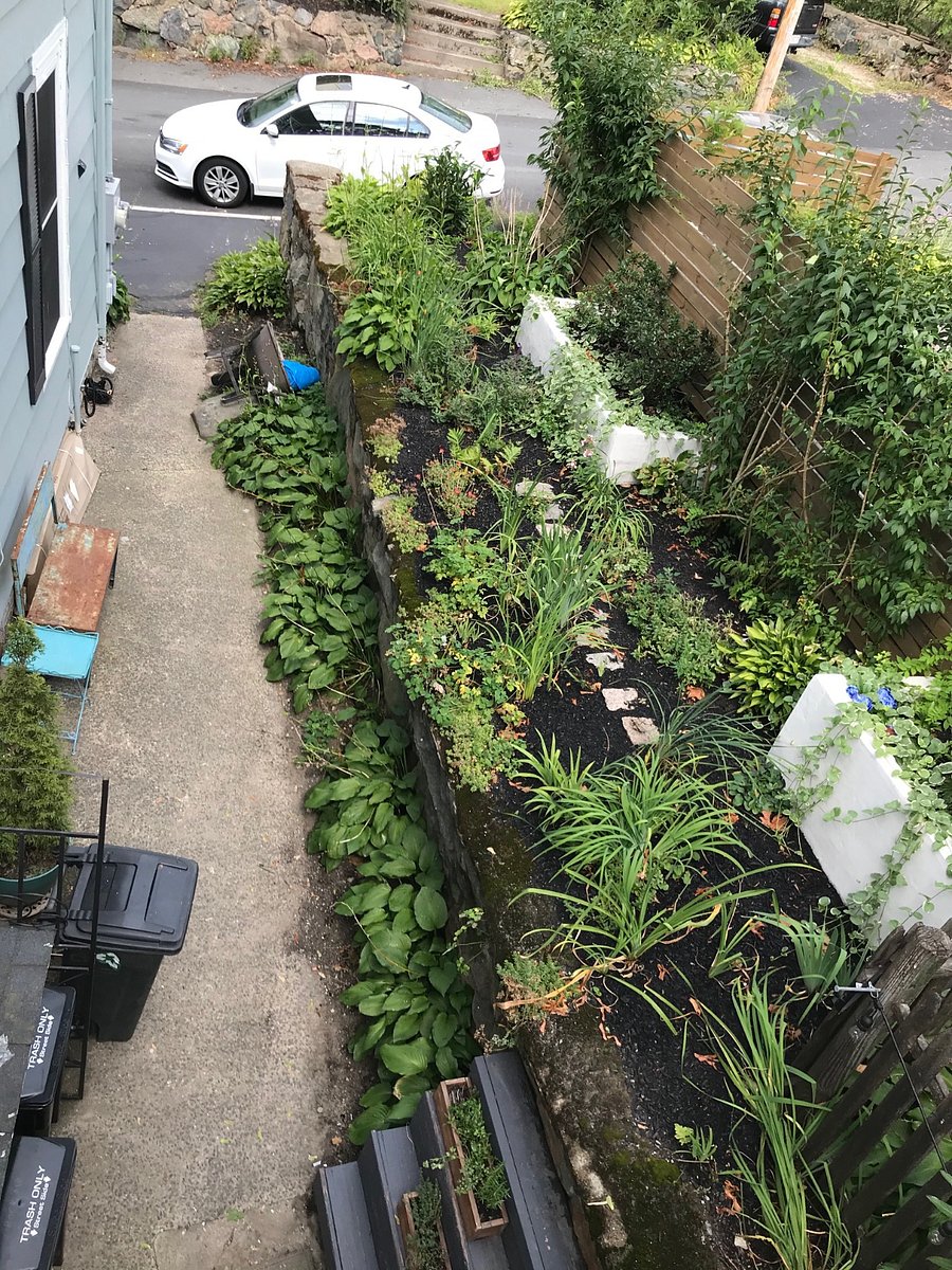 View from the 2nd floor balcony overlooking the side garden.