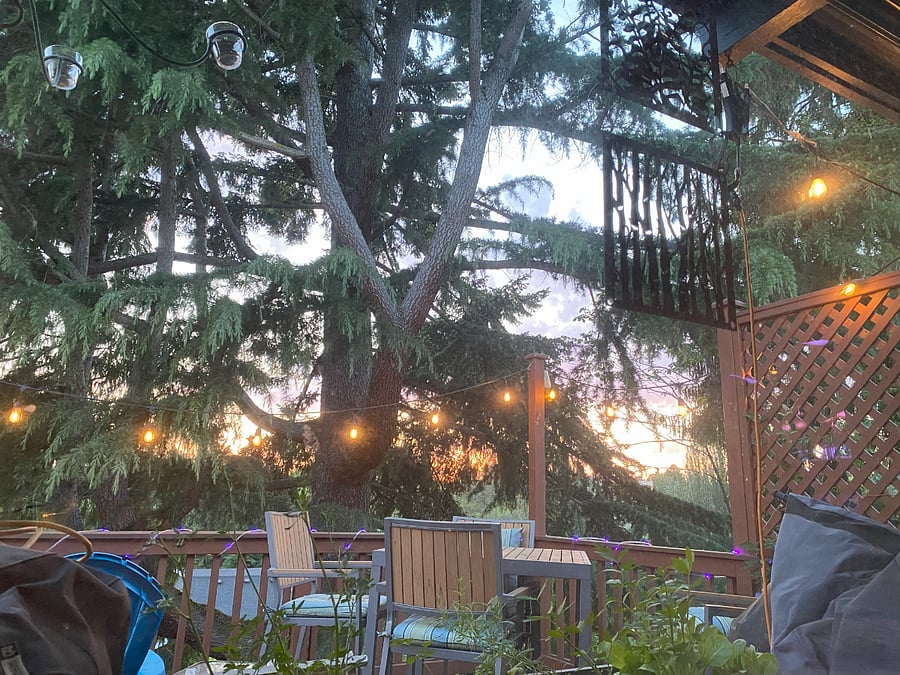 Lovely sunsets, this picture taken from the living room couch