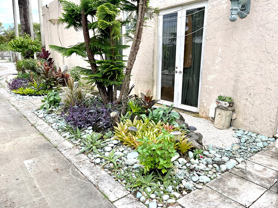 Exotic flowers blooming each of your step outside