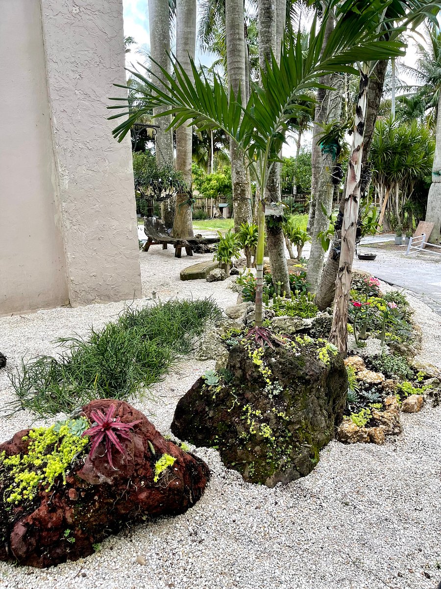 The rock garden to meditate every day