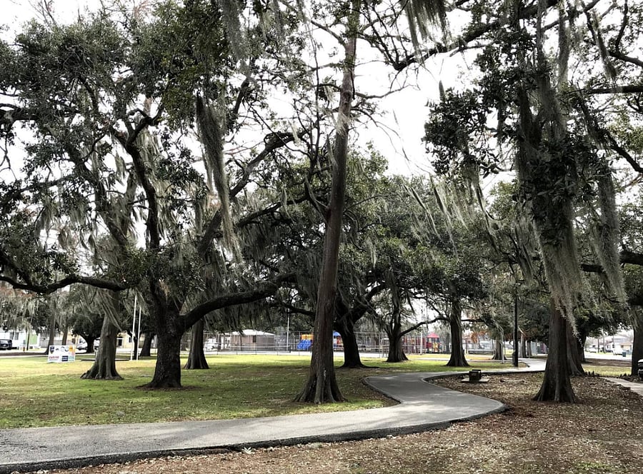 PARK IN WALKING DISTANCE