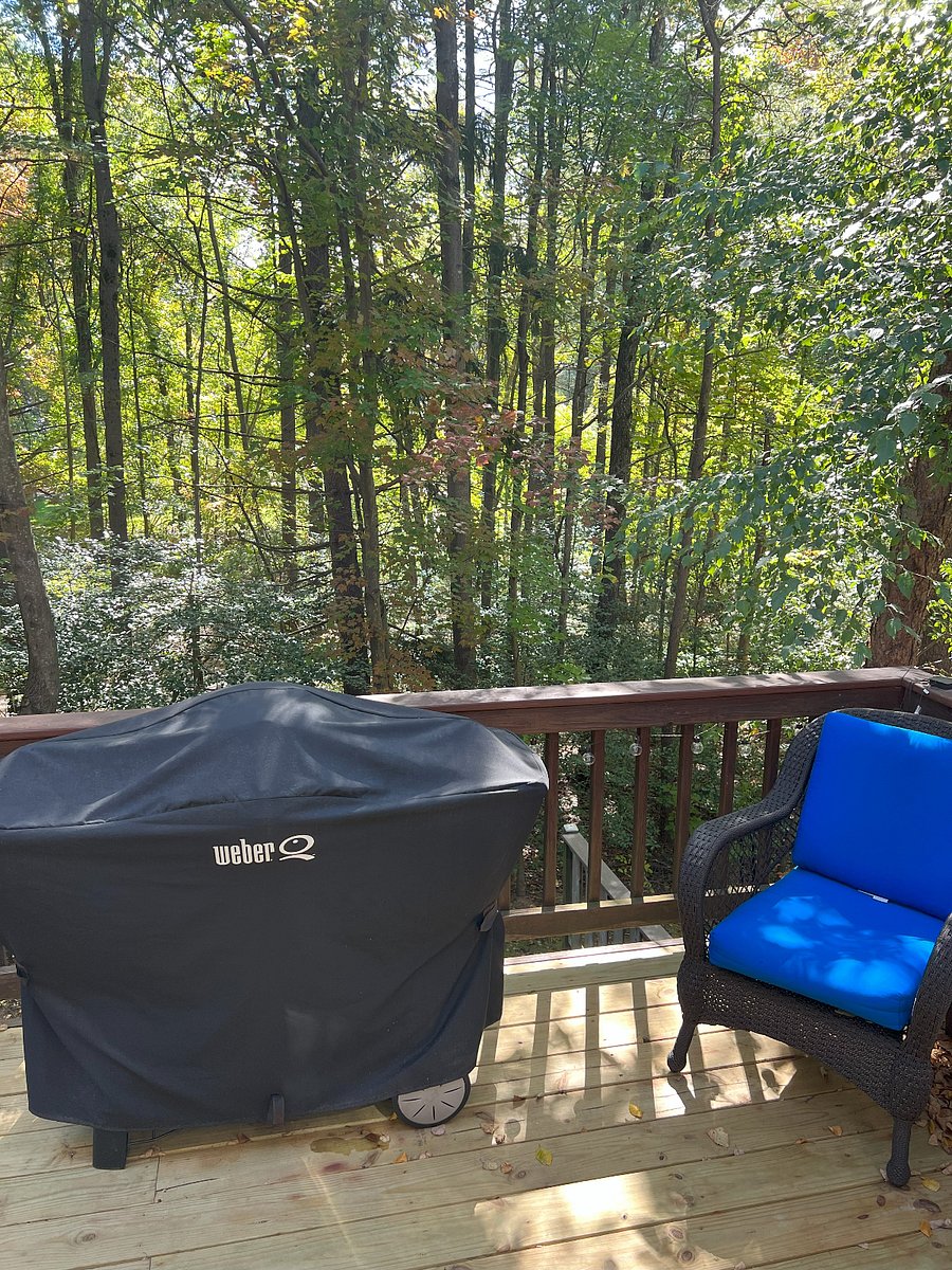Furnished Finder property 622568_1 photo 4