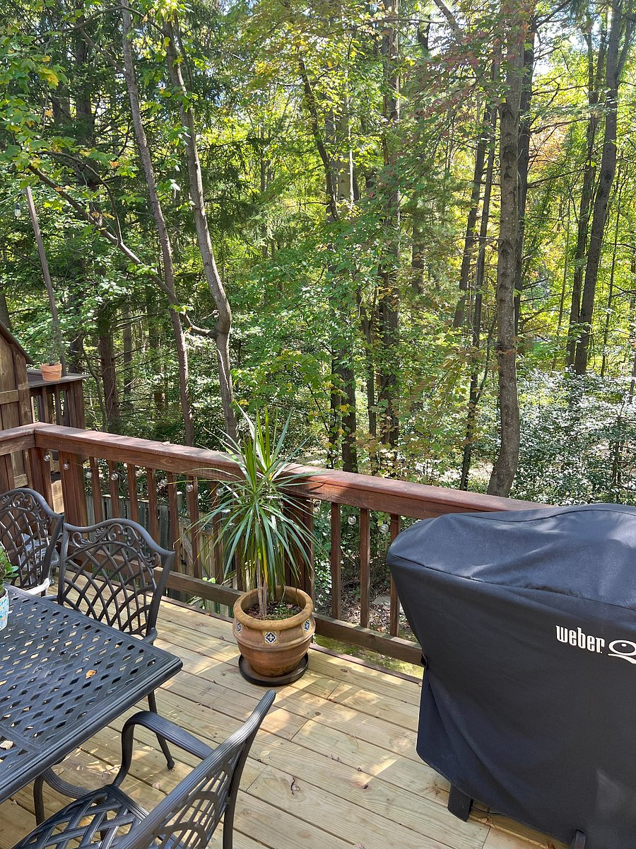 Furnished Finder property 622568_1 photo 5