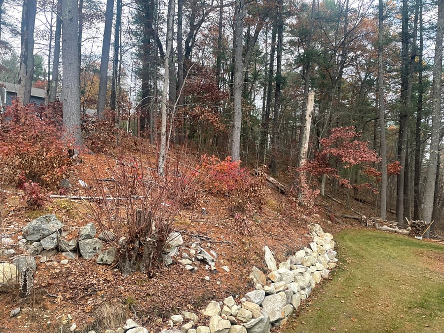 Furnished Finder property 622625_1 photo 4