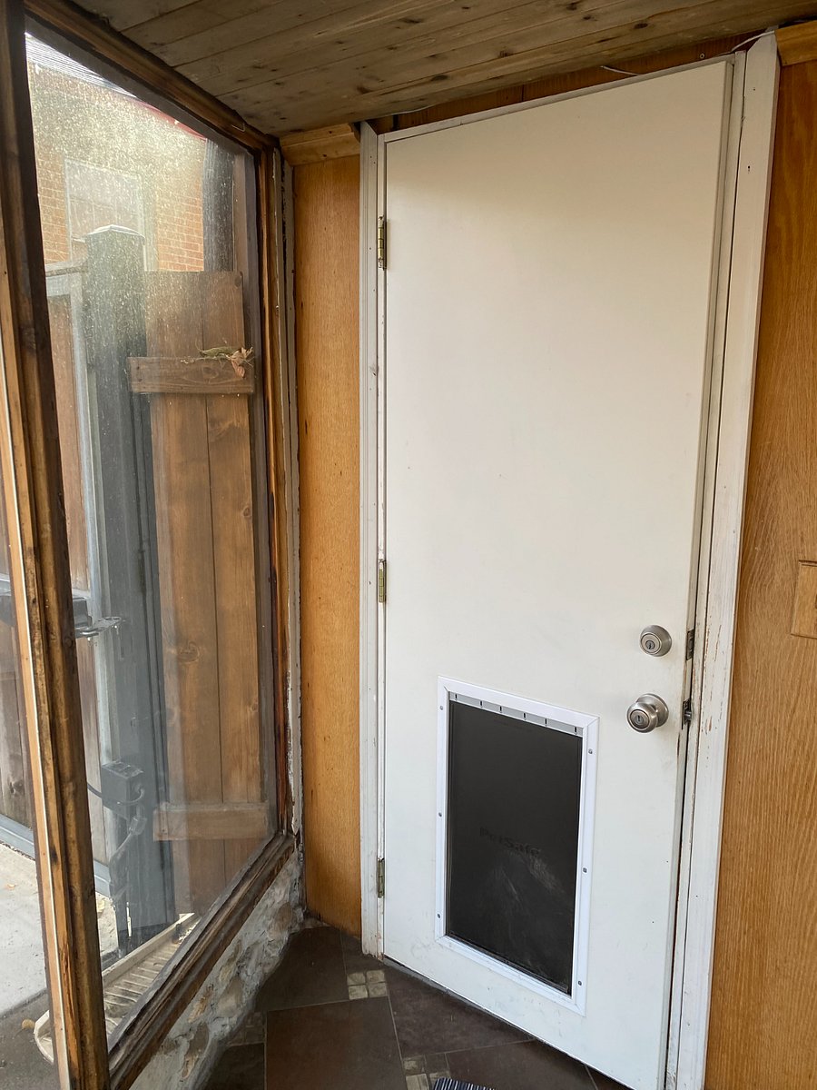 Large Dog Door