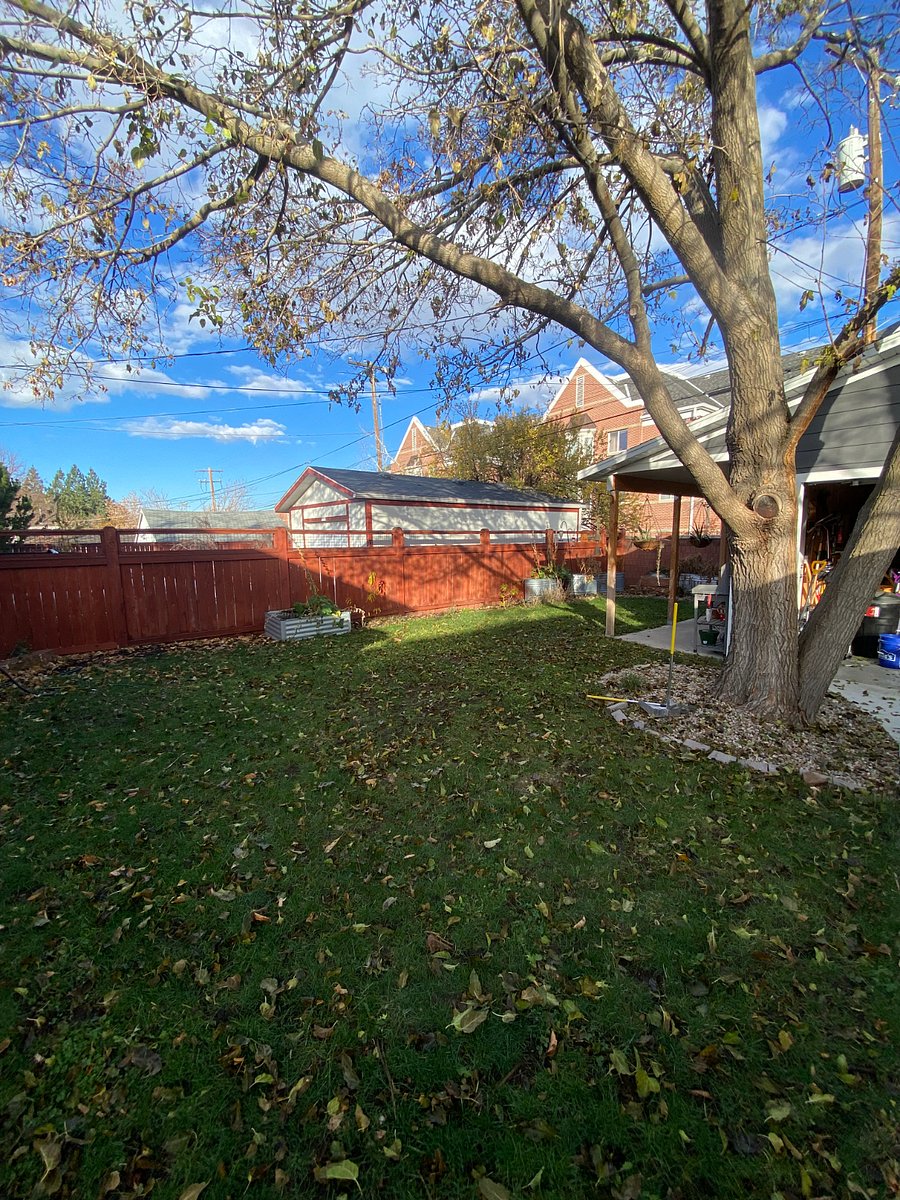 Fenced Backyard