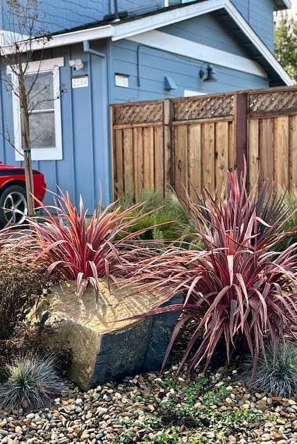 The gate to the private fenced-in yard. Picture taken 12/24/24.