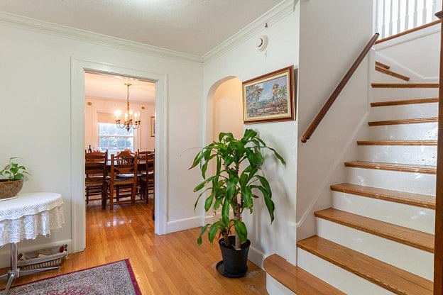 Furnished Finder property 622868_1 photo 3