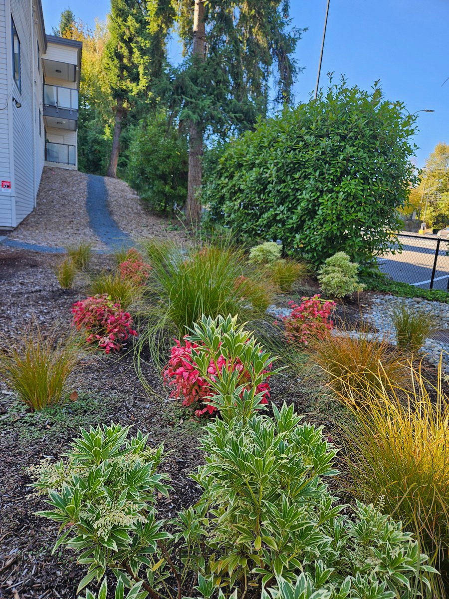 Furnished Finder property 622944_1 photo 16