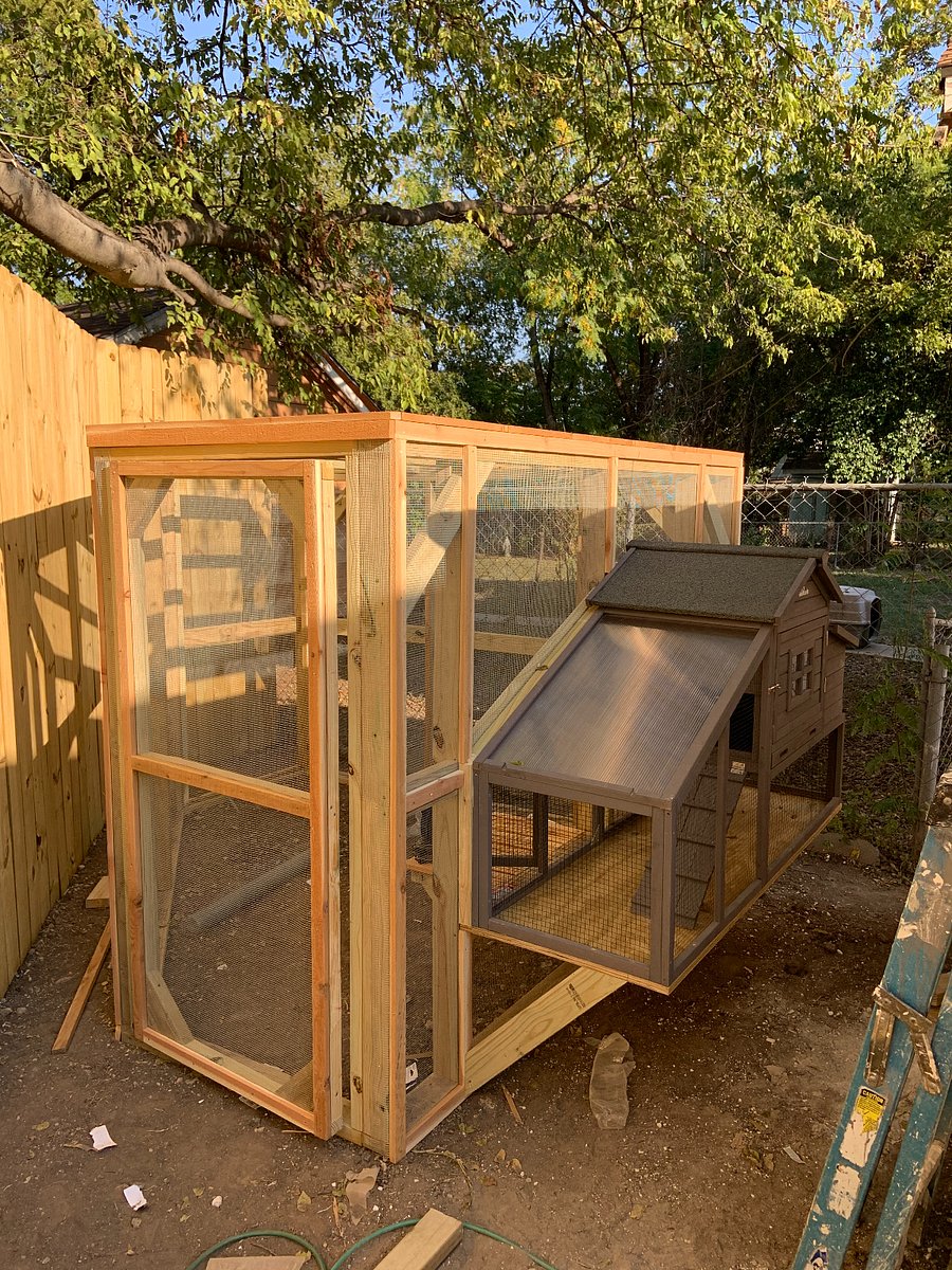 full caged chicken coop
