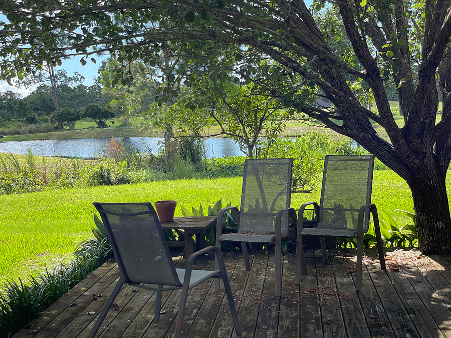Furnished Finder property 623545_1 photo 21