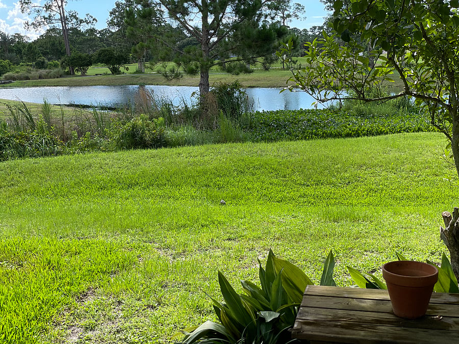 Furnished Finder property 623545_1 photo 23