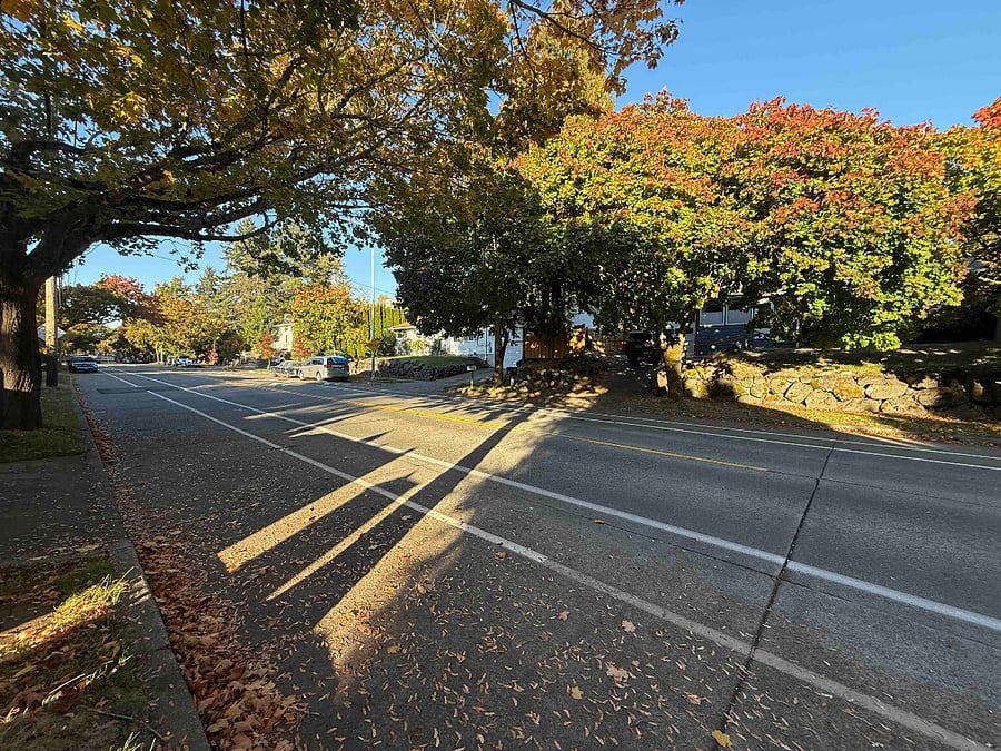 Street is busy during the day with buses and traffic, quiet at night and on weekends