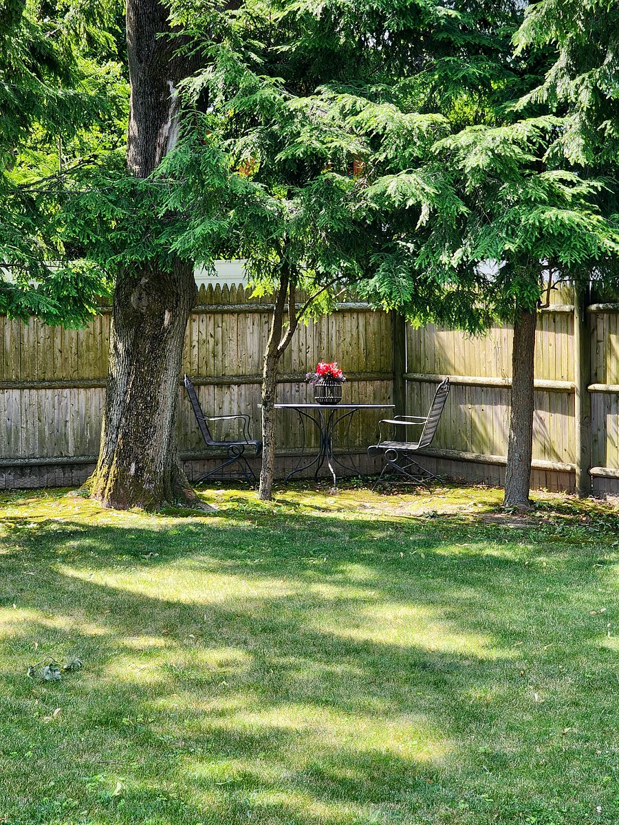 Furnished Finder property 623565_1 photo 18