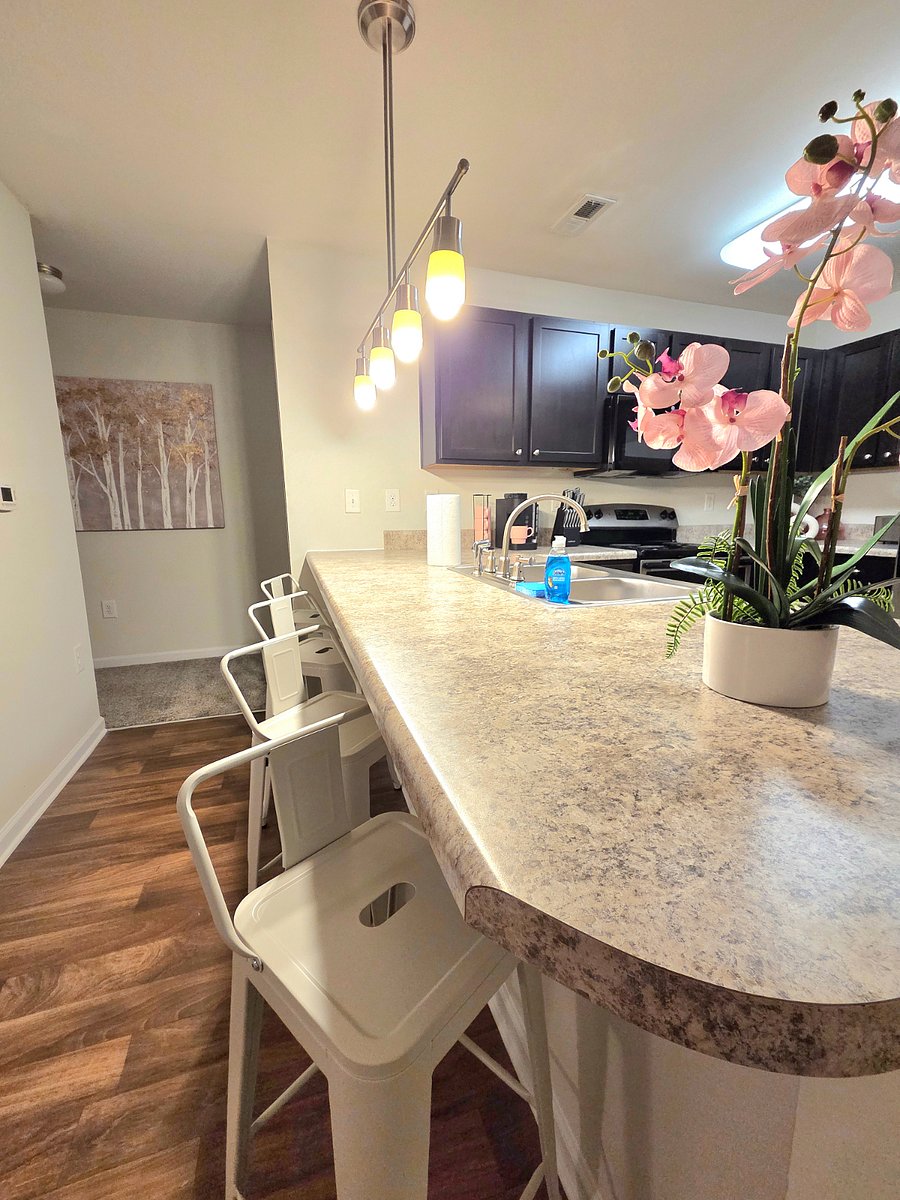 Furnished Finder property 623567_2 photo 15