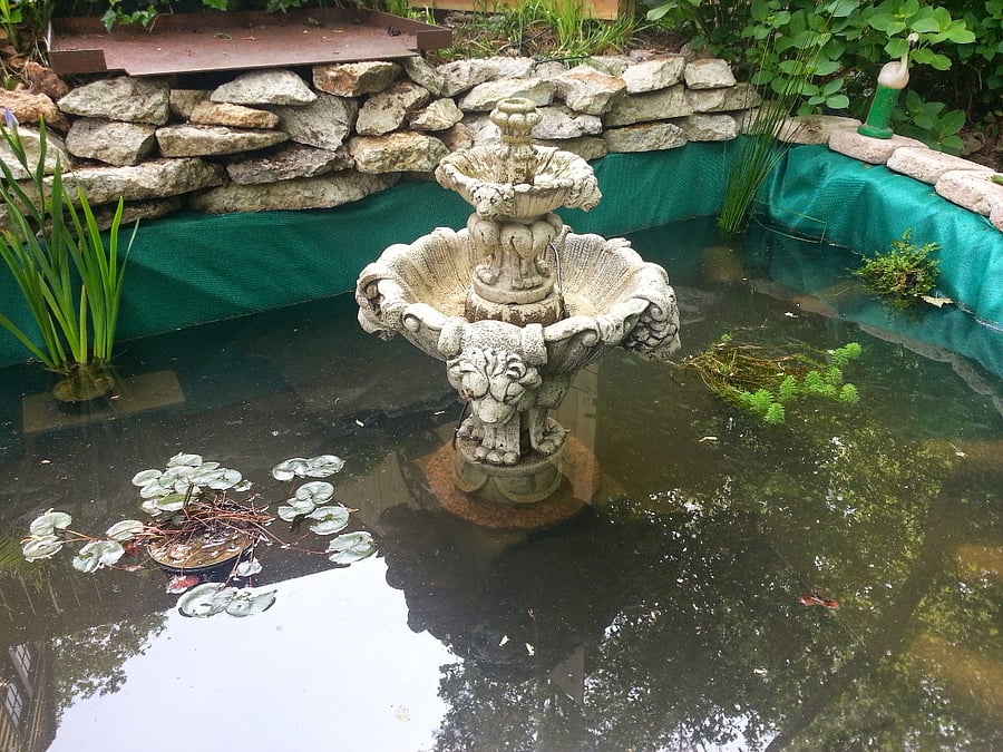 deck overlooks the fish pond