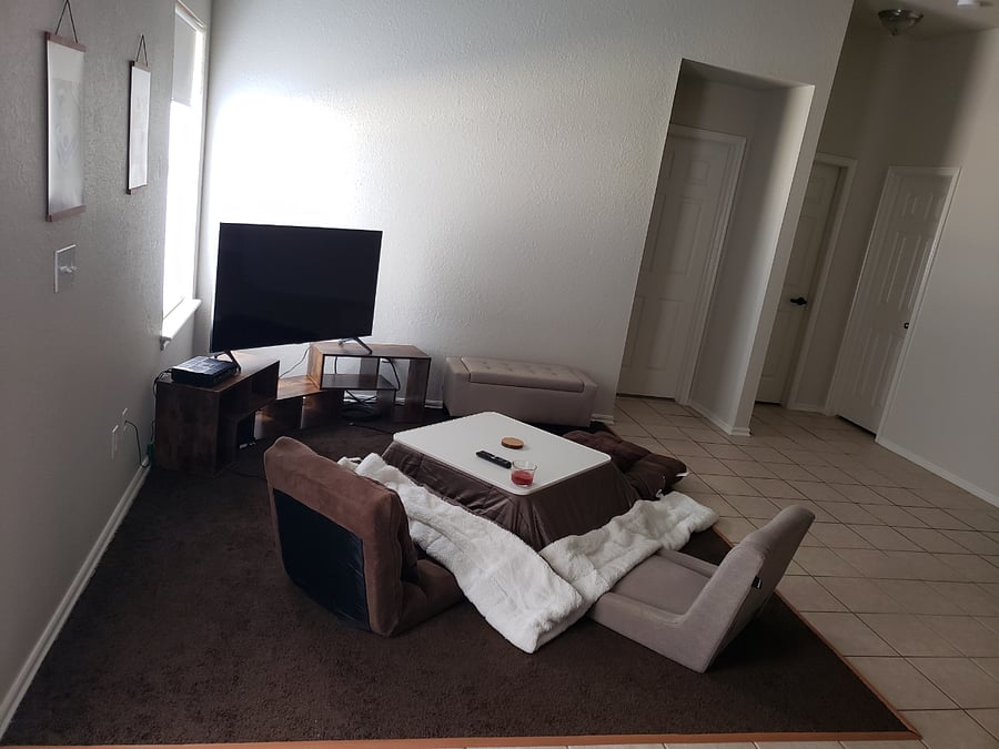 SHARED Living Room:
~ Kotatsu HEATED coffee table with comforter
~ 50" TV with HDMI cable to connect to laptop for remote working
~ Reclining Floor seats