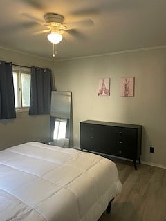 Furnished Finder property 624115_2 photo 5