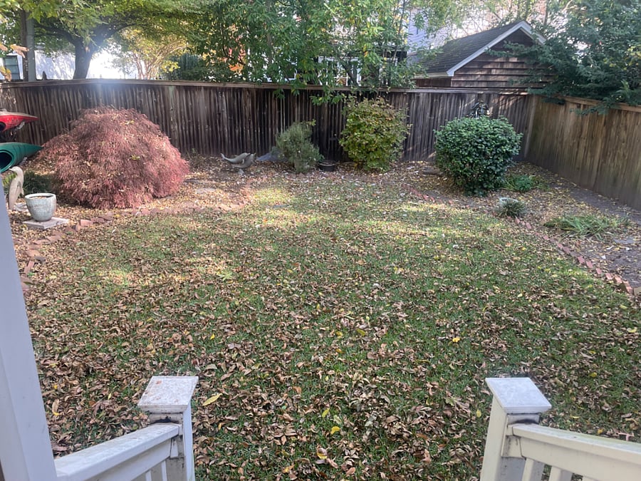 Furnished Finder property 624181_1 photo 7