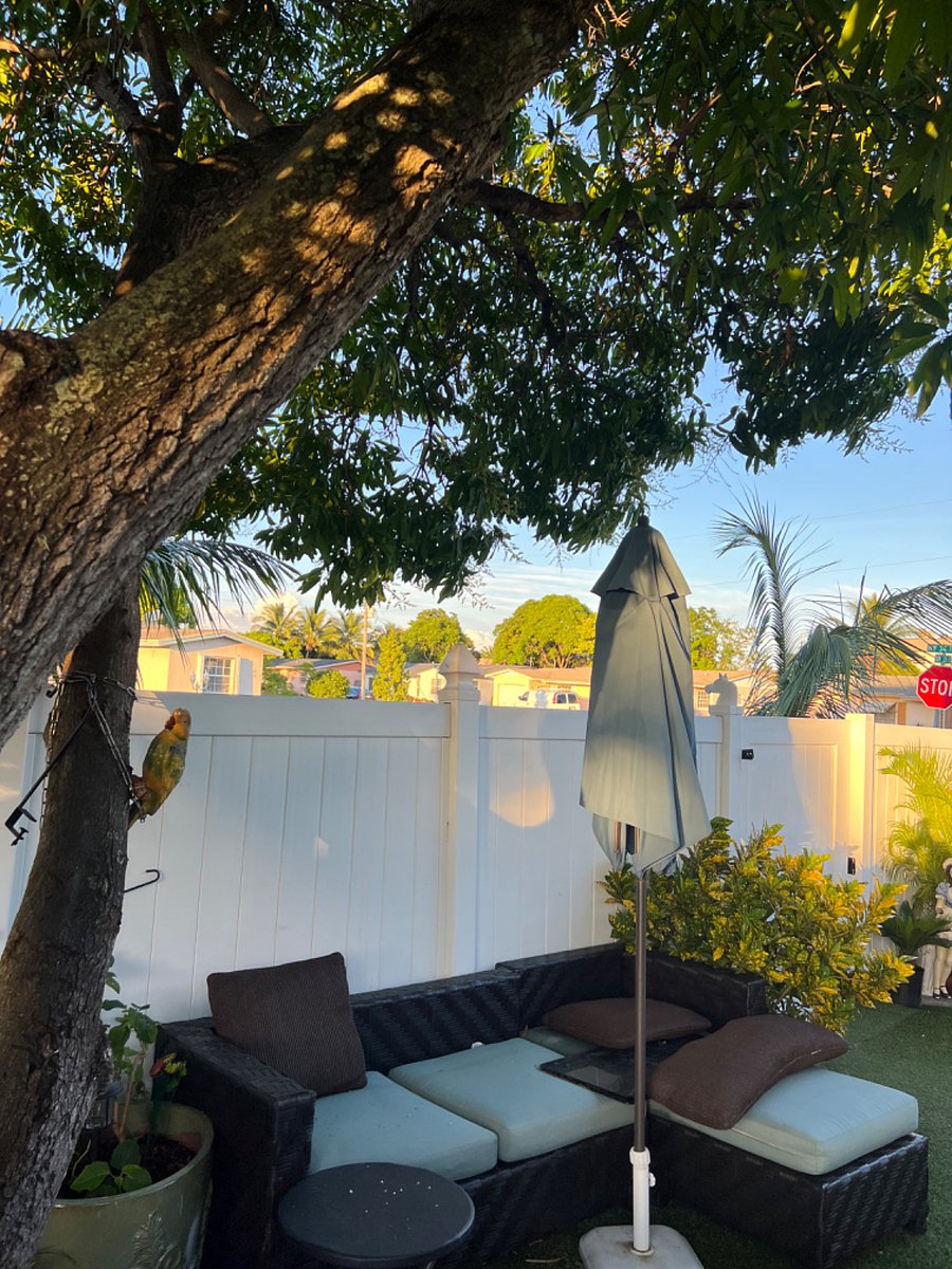 Furnished Finder property 624234_1 photo 9