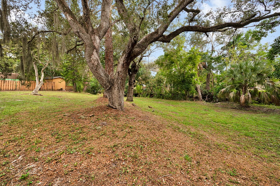 Sit and relax in the oversized yards with old heritage trees.