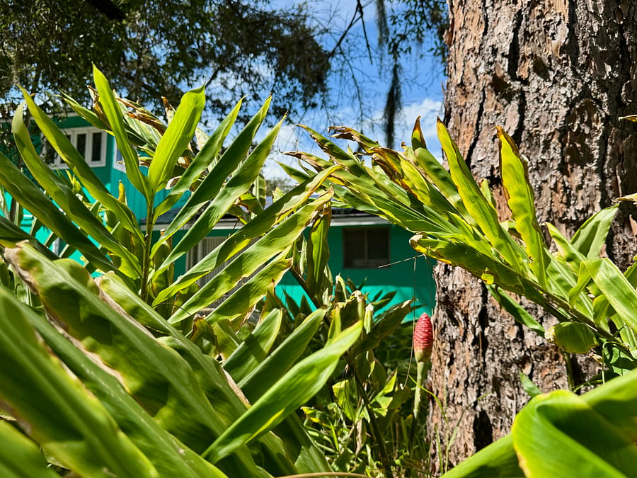Seasonal Flora. Enjoy the large rear yards w/ two private patios!
