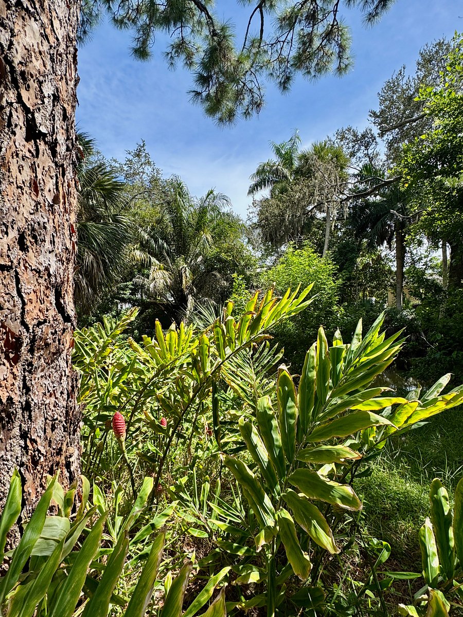 SWFL Fauna & Flora!