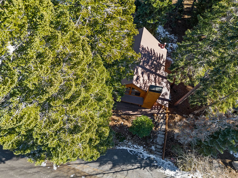 Nestled in trees