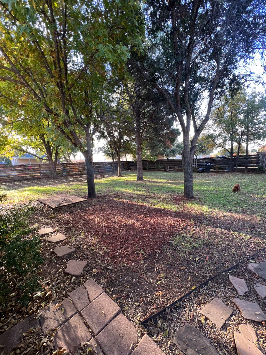 Furnished Finder property 624318_1 photo 18