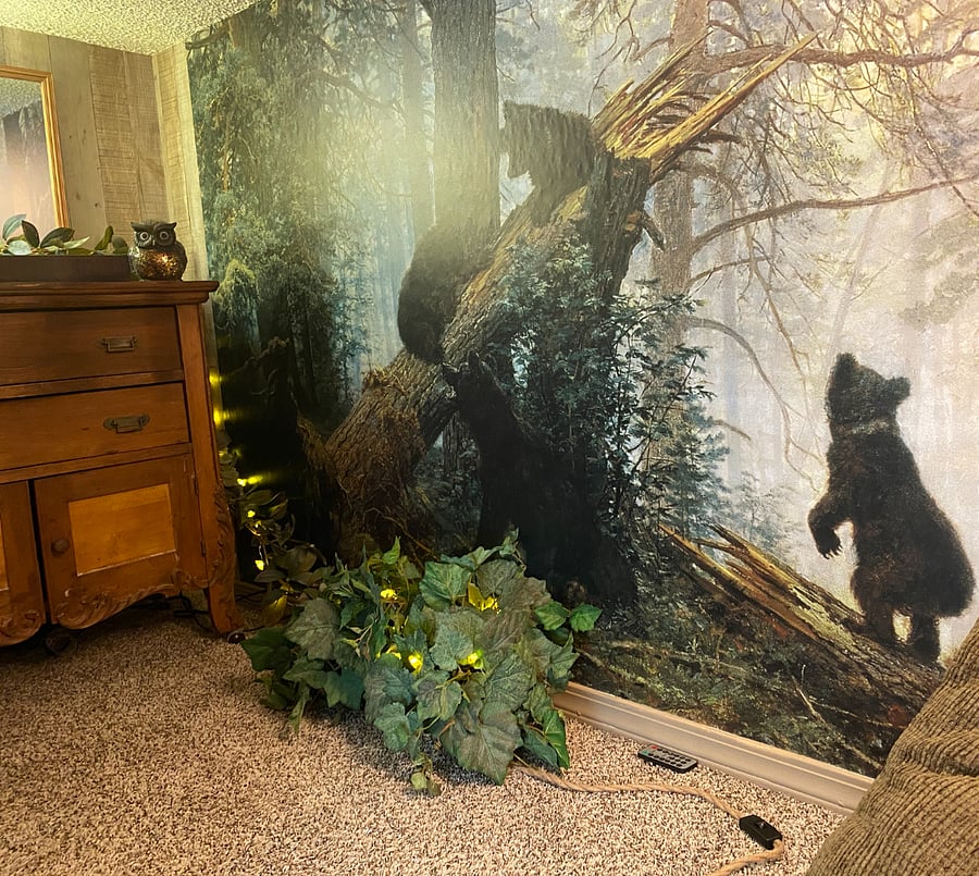 Magical lighting, lovely mural, and beautiful antique cabinet in the Bear Cave.