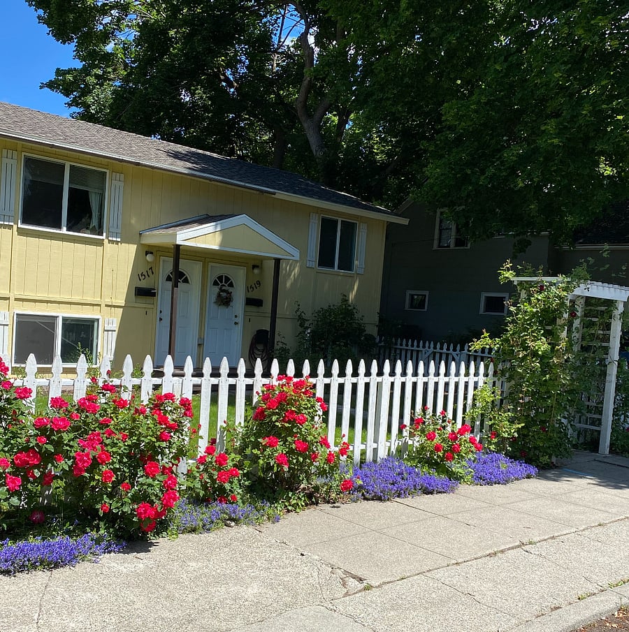 The shared front yard of the duplex with picket fence, flowers, rose and honeysuckle covered arbor.