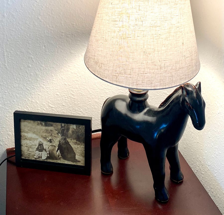 Eclectic lamps in the South American room.