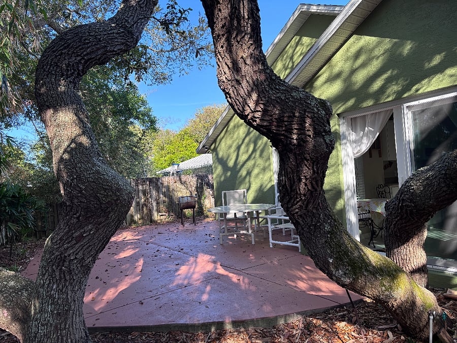Furnished Finder property 624528_1 photo 23