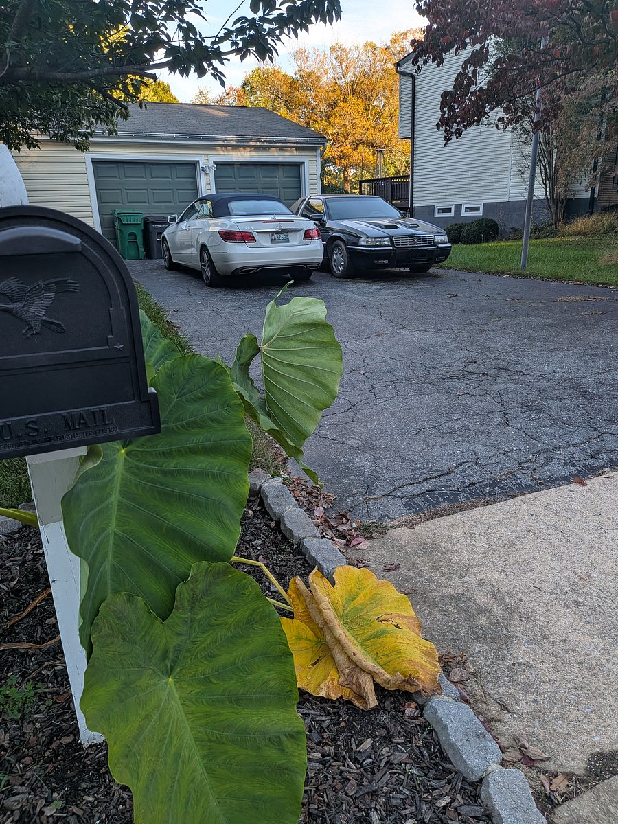 Lots of driveway space for your car off the road.