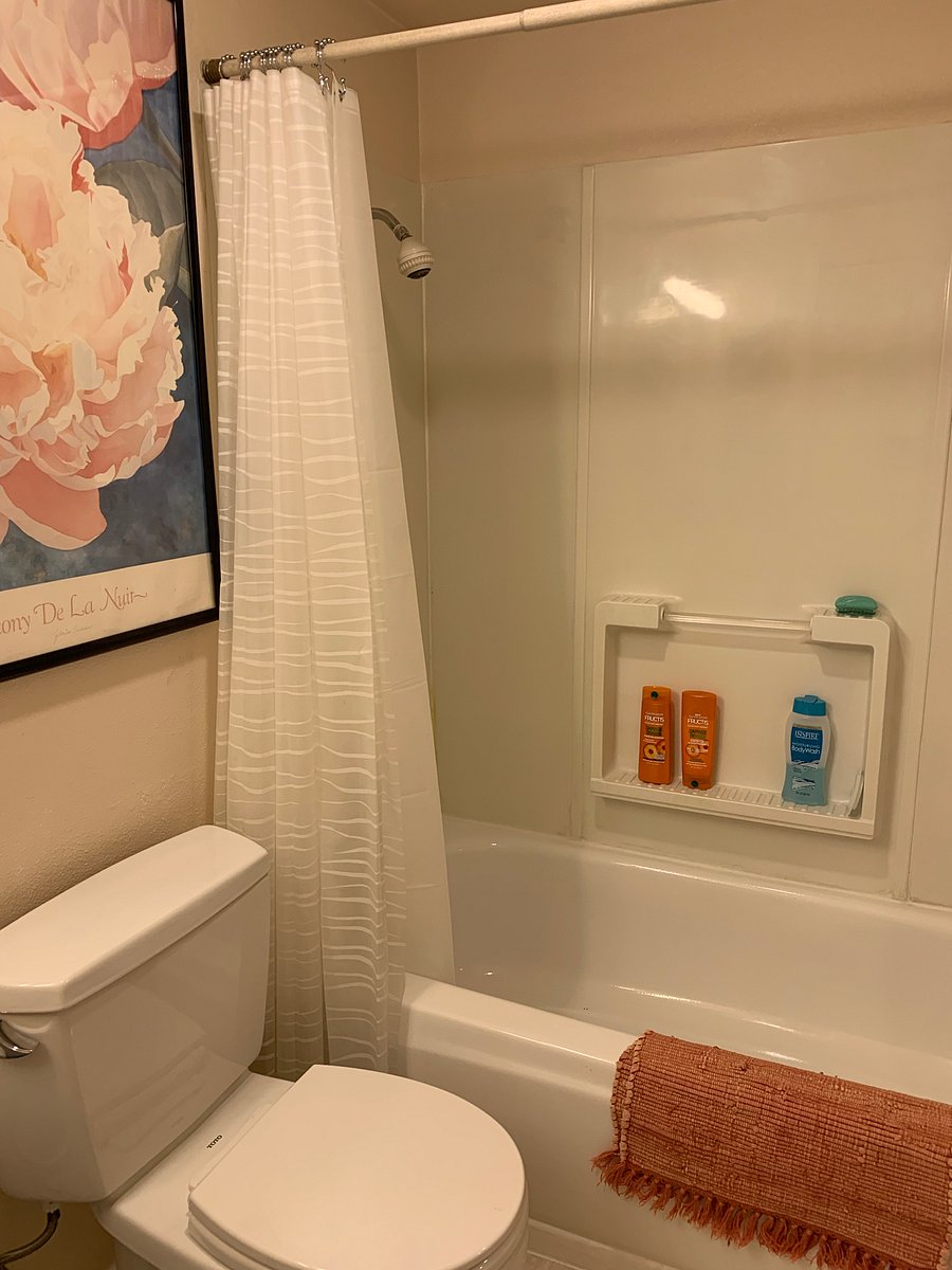 Furnished Finder property 624608_1 photo 14