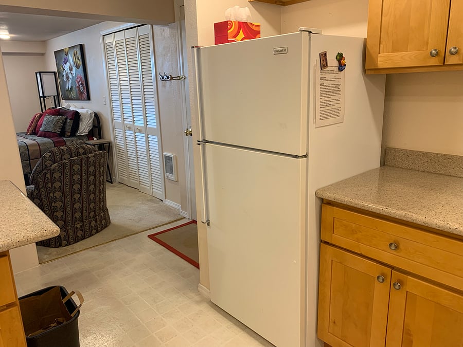 Large walk-in closet, full size refrigerator