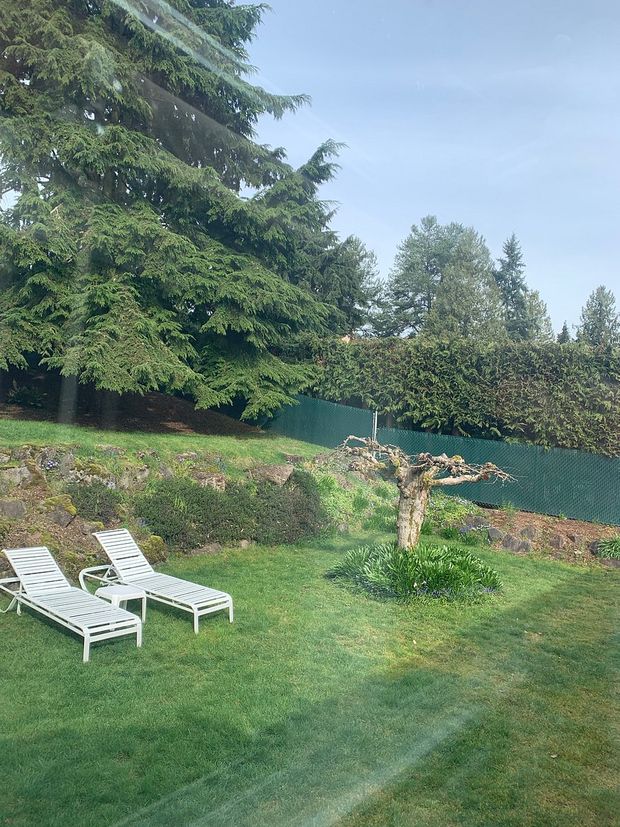 Fully Fenced Backyard with chaise lounges for relaxing
