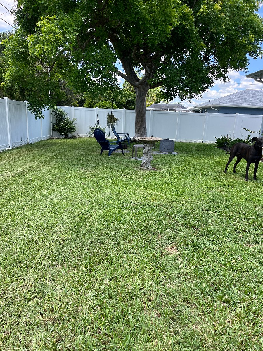 fenced back yard