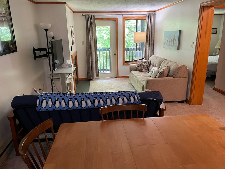 Living area with fold out sleeper sofa & fold out futon for additional sleeping areas. Electric fireplace, Forrest view from the terrace, and coffee bar.