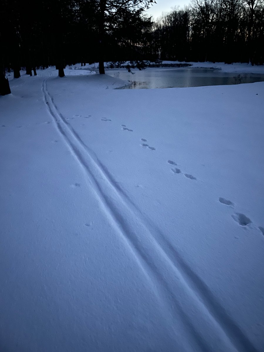 XC weather permitting
