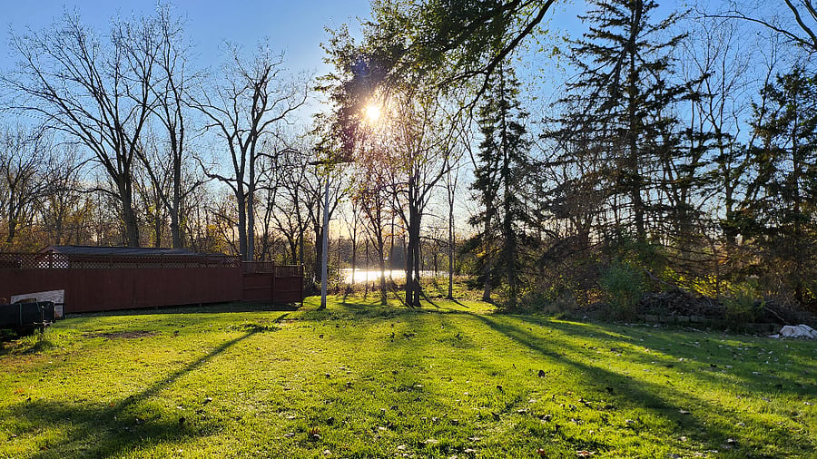 Lake View with 3 acre yard for nature walks
