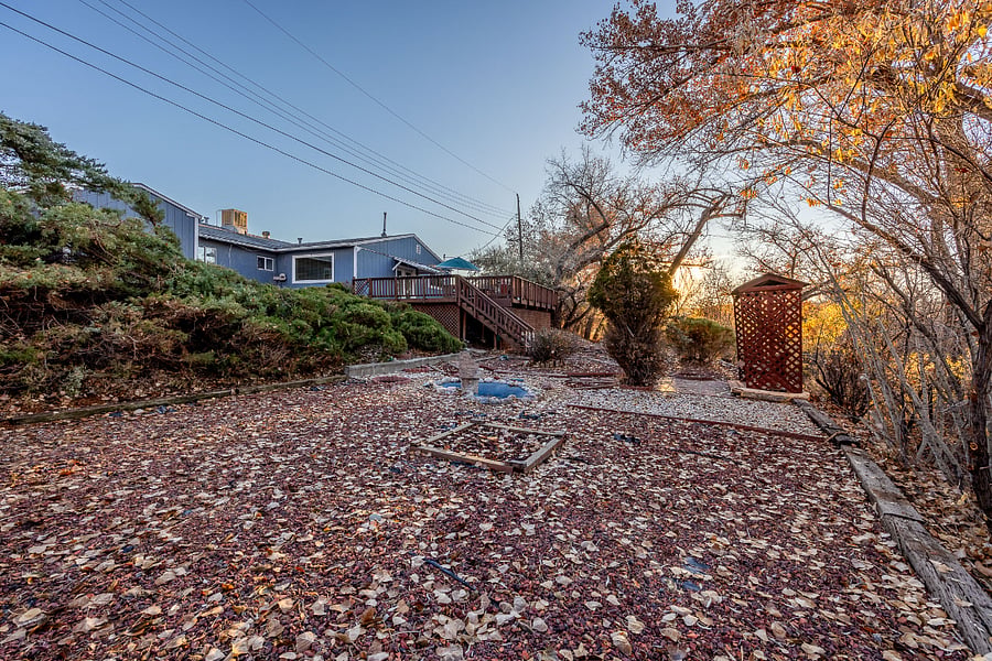 Backyard