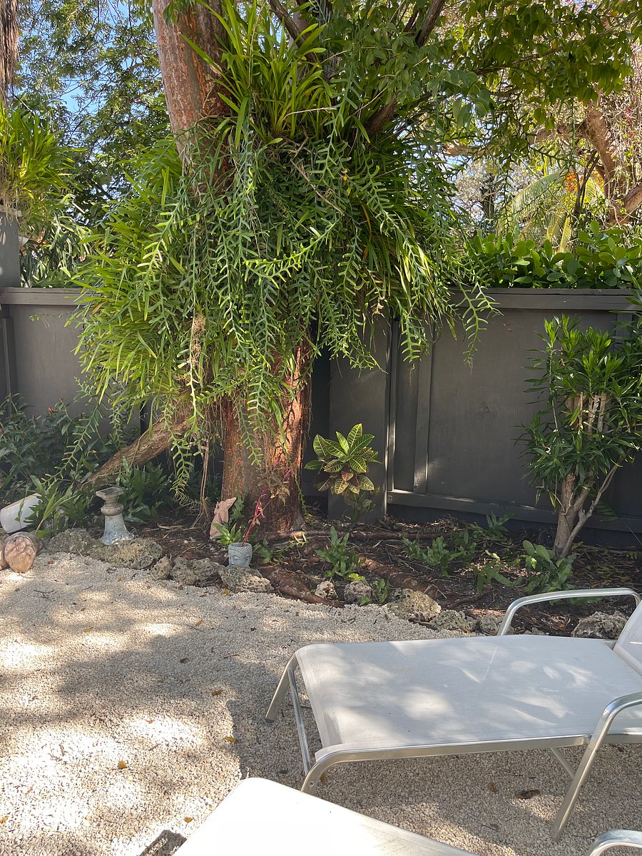Furnished Finder property 625171_1 photo 6