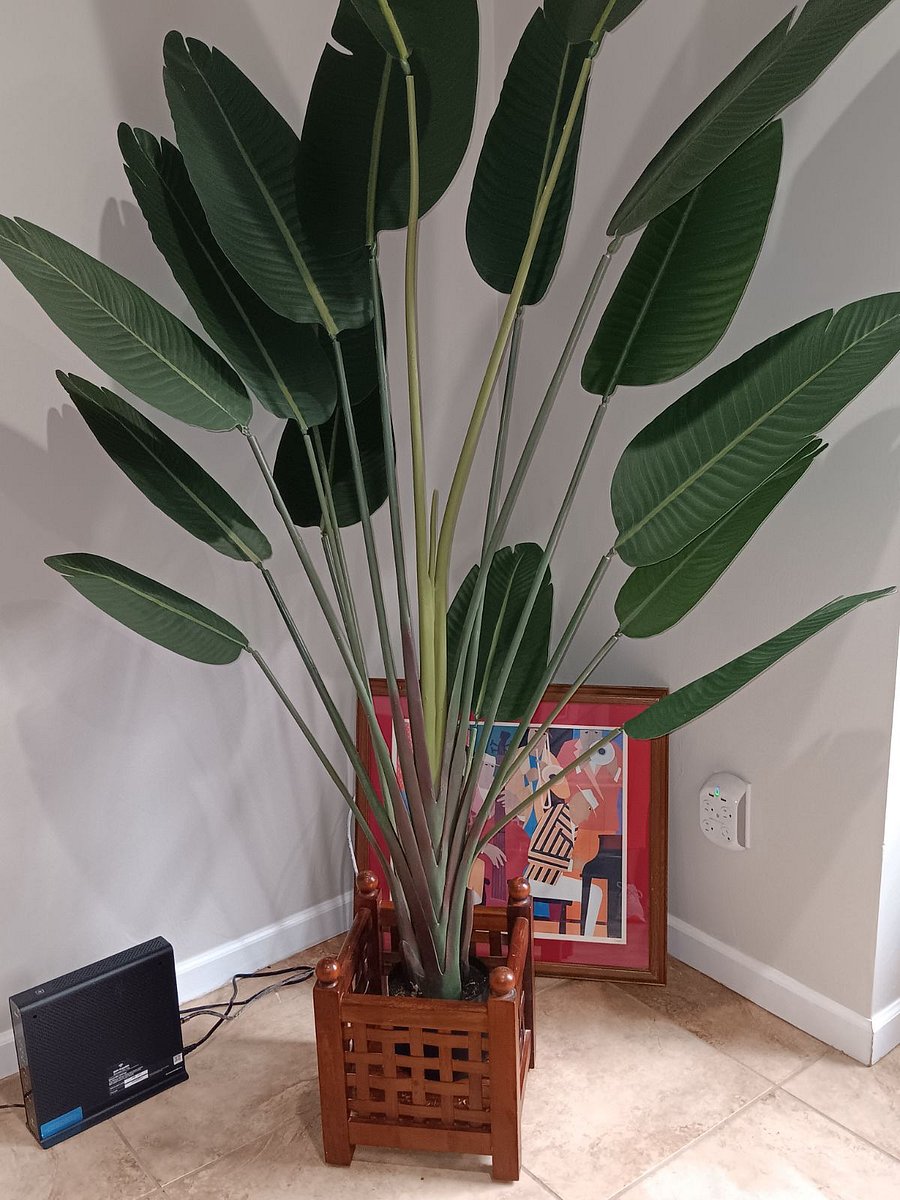 Furnished Finder property 625353_1 photo 8