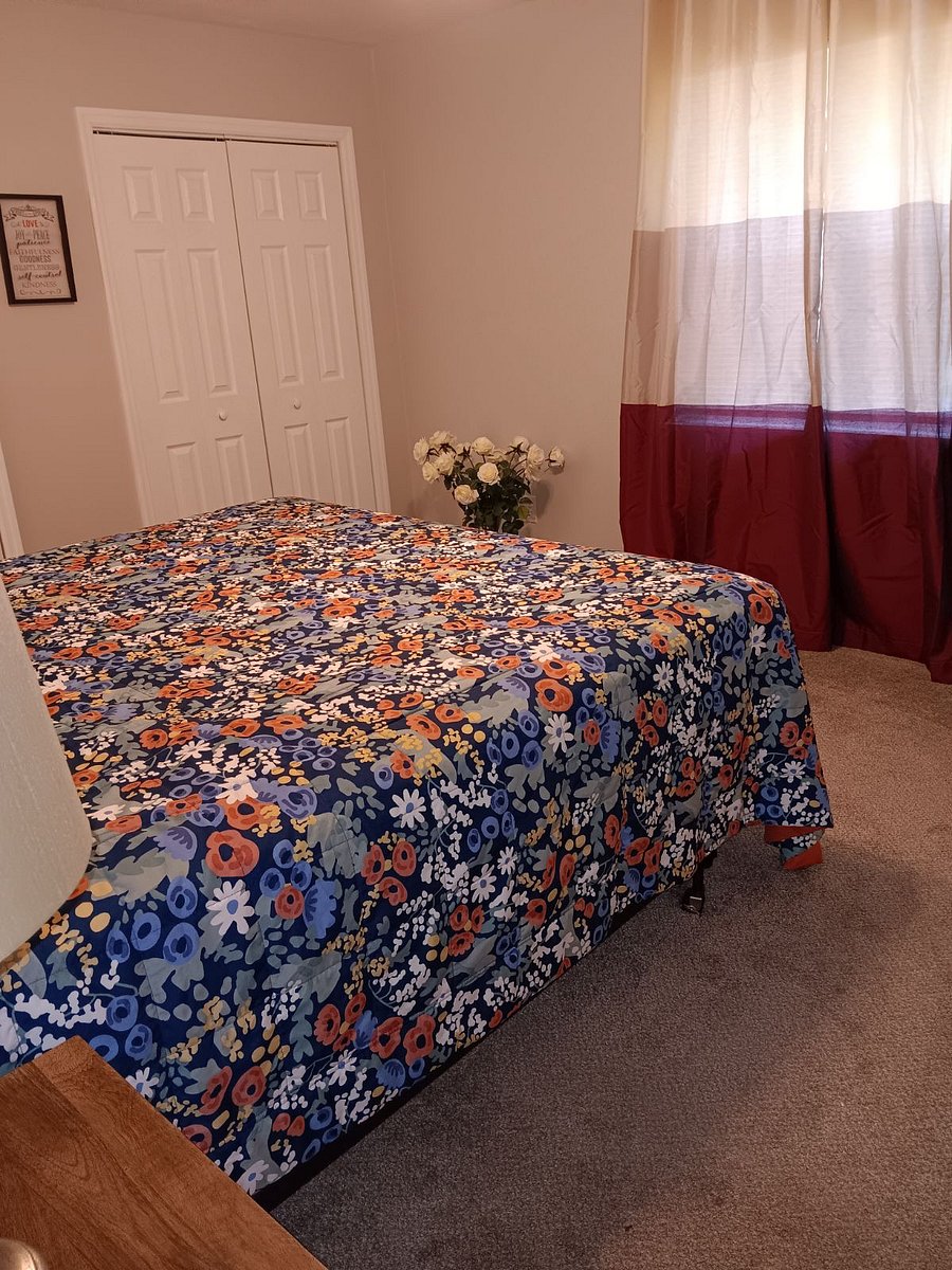 Furnished Finder property 625353_1 photo 17