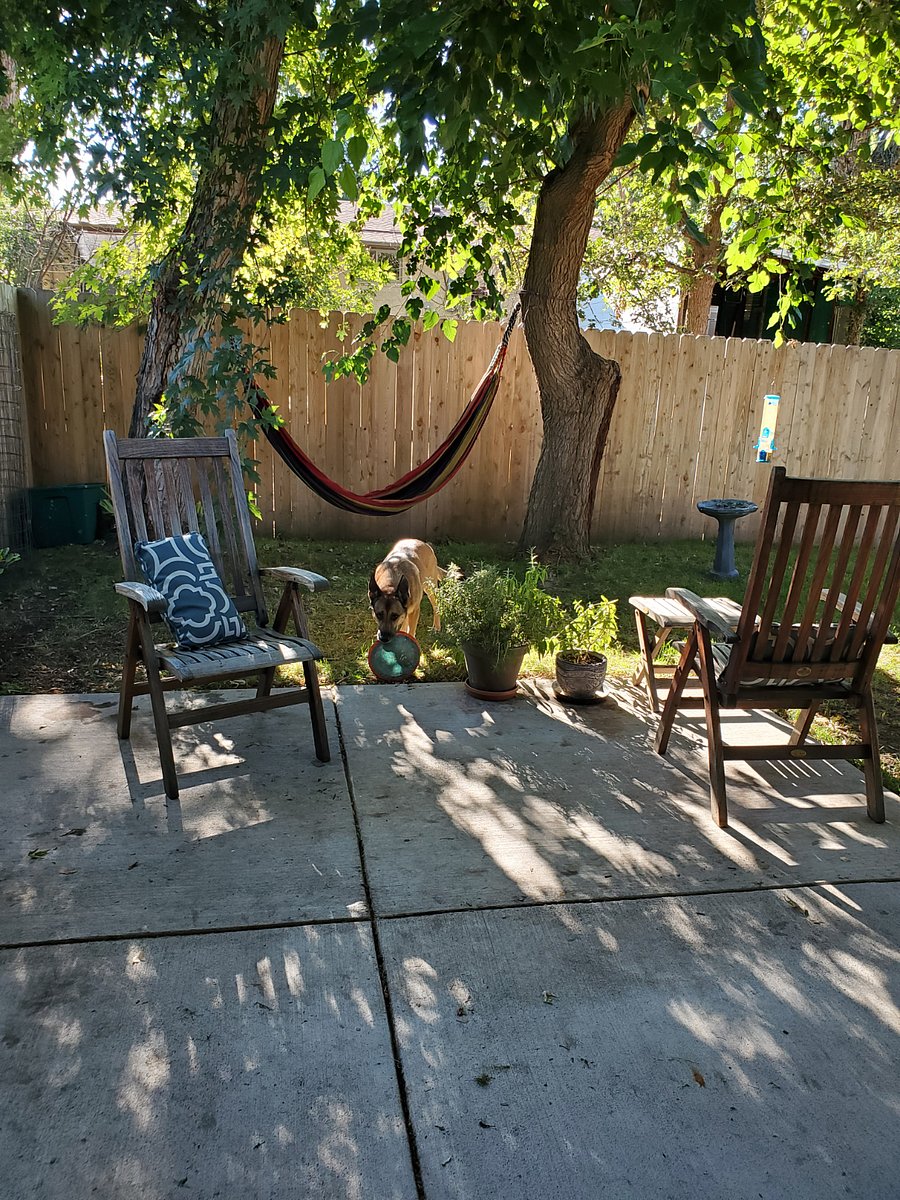 Furnished Finder property 625473_1 photo 10