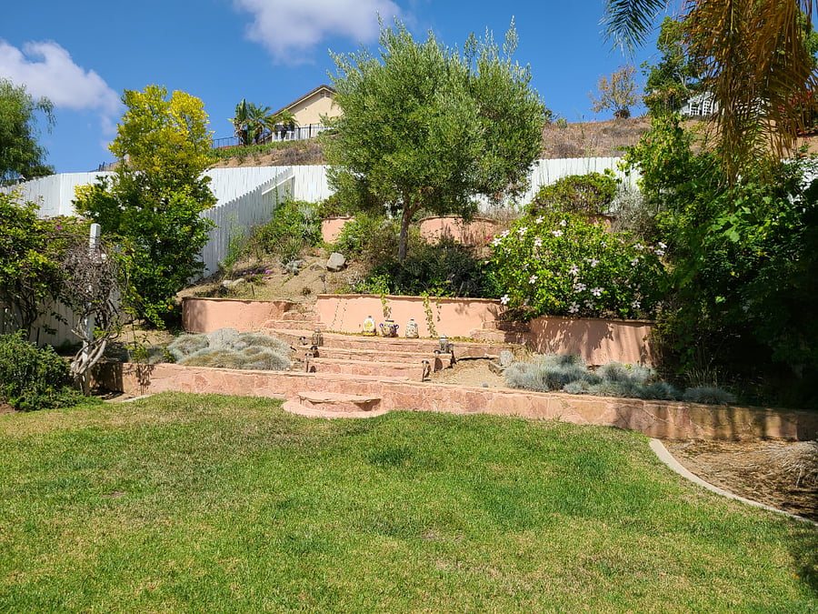 Yard
