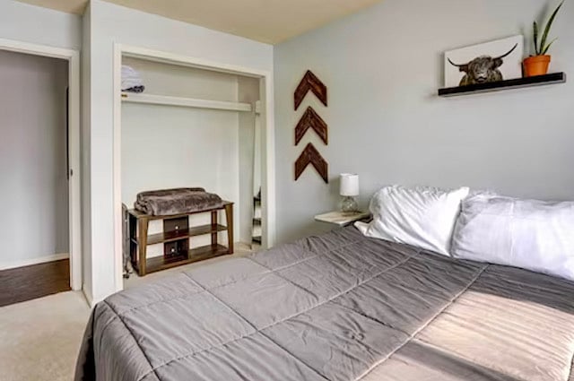 Furnished Finder property 625614_1 photo 15