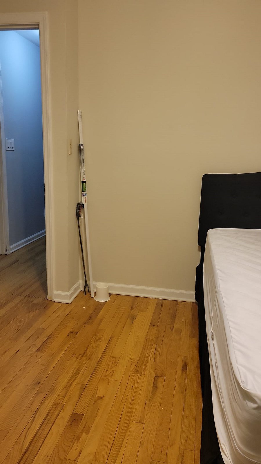 Furnished Finder property 625684_1 photo 7