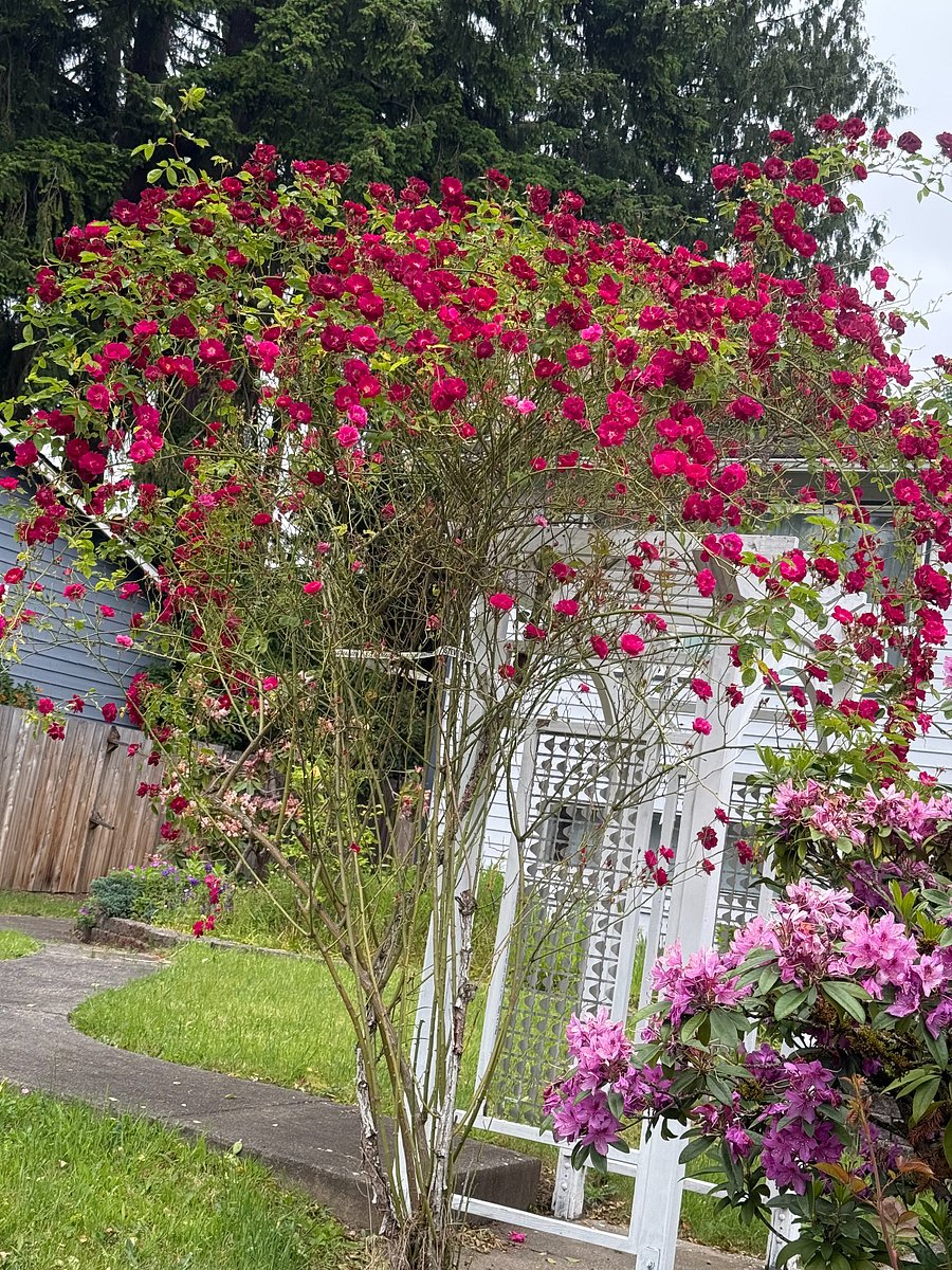 Furnished Finder property 625685_1 photo 17